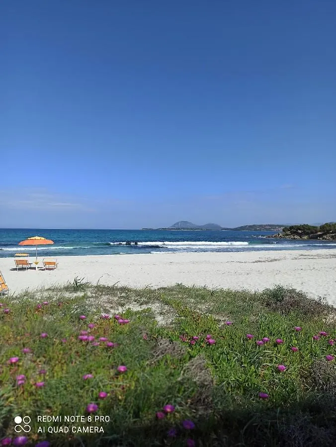 Casa Sofia - Costa Smeralda Apartment Cugnana Verde 0*,